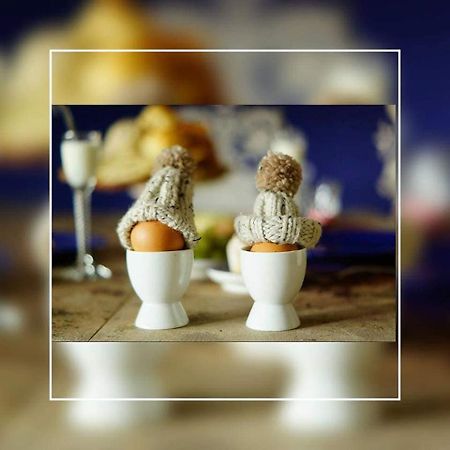 Slapen Op 77 Daire Nieuwe-Niedorp Dış mekan fotoğraf